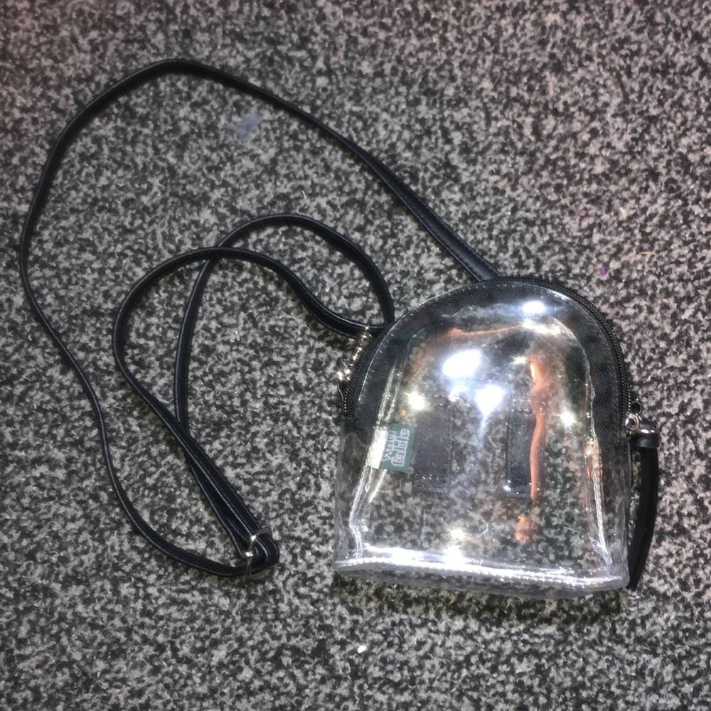 Small Transparent Purse